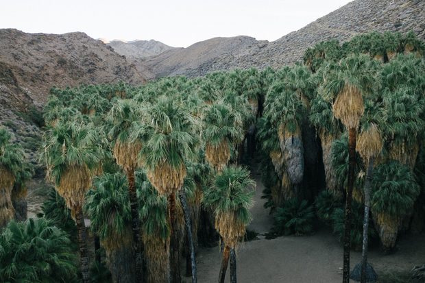 Indian Canyons
