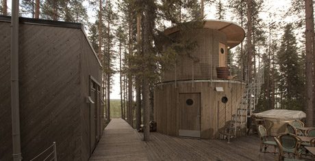 Treehotel Sauna, Sweden, travel, grooming,