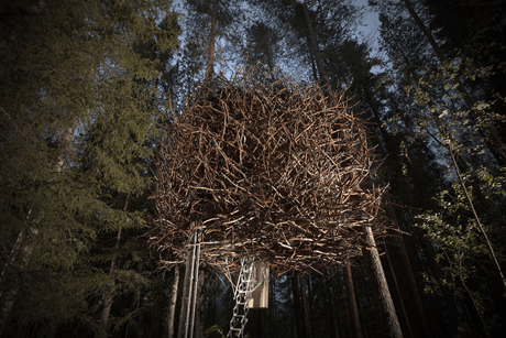 The Bird's Nest, Sweden, travel,