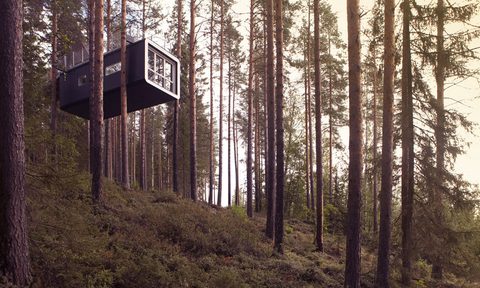 The Treehotel, Sweden, travel, Europe,