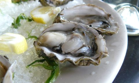 new years essentials oysters