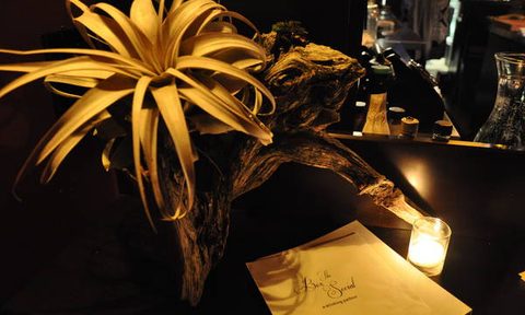 Portland Bar Scene