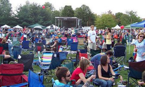 top summer festivals in the u s brewgrass festival asheville  n c