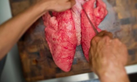 food porn hannibal serves exquisite dishes not for the squeamish lungs
