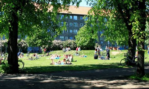 copenhagen micro guide norrebroparken