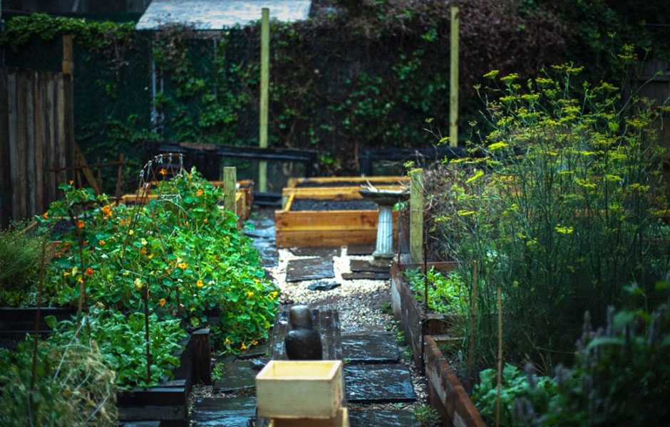 goat town nyc restaurant garden