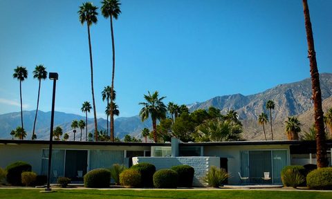 mid century nostalgia in palm springs