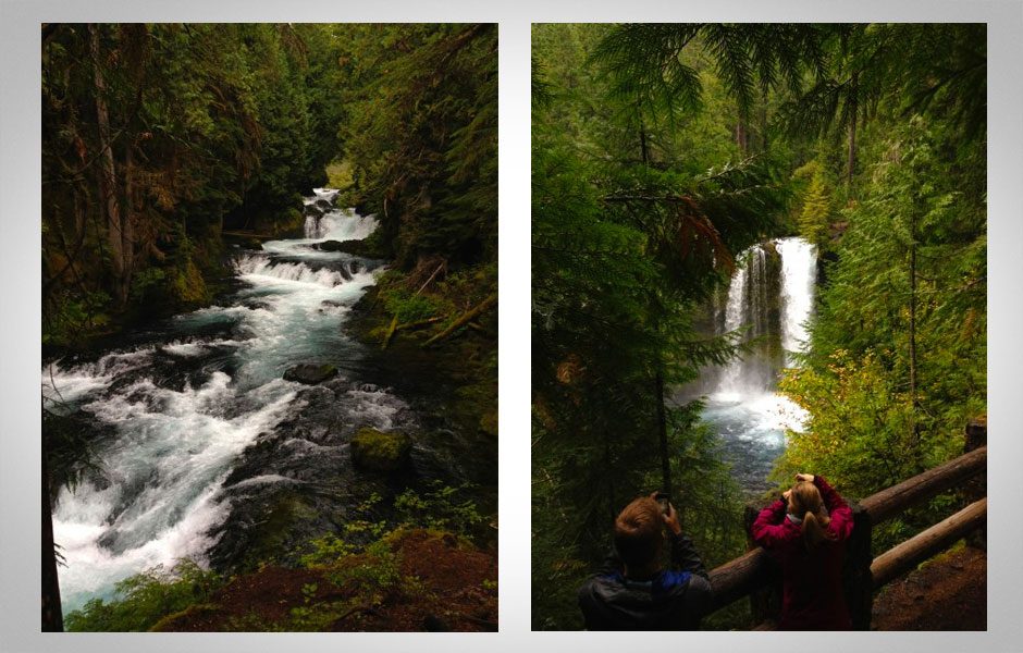 Koosah Falls in Willamette State Forest