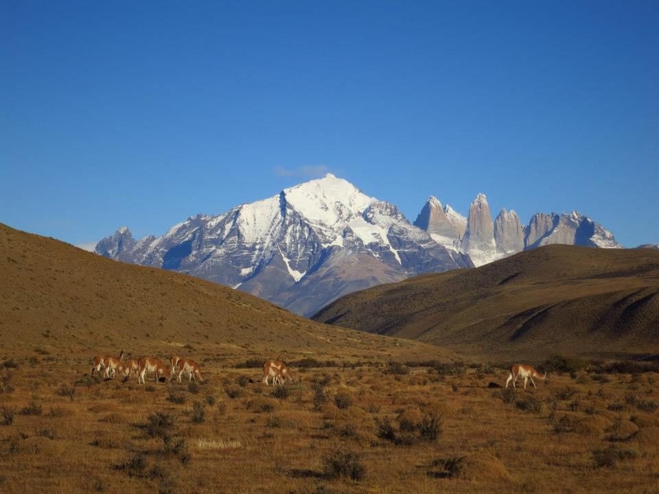 Quasar Expeditions Jeep Wranger Rubicon Wild Patagonia Torres del Paine perito moreno glacier ice berg