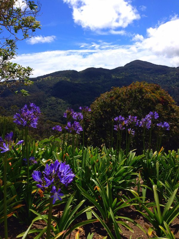 beaten path bogota colombia montserrate