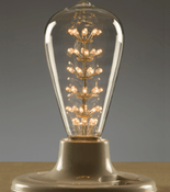 bulb