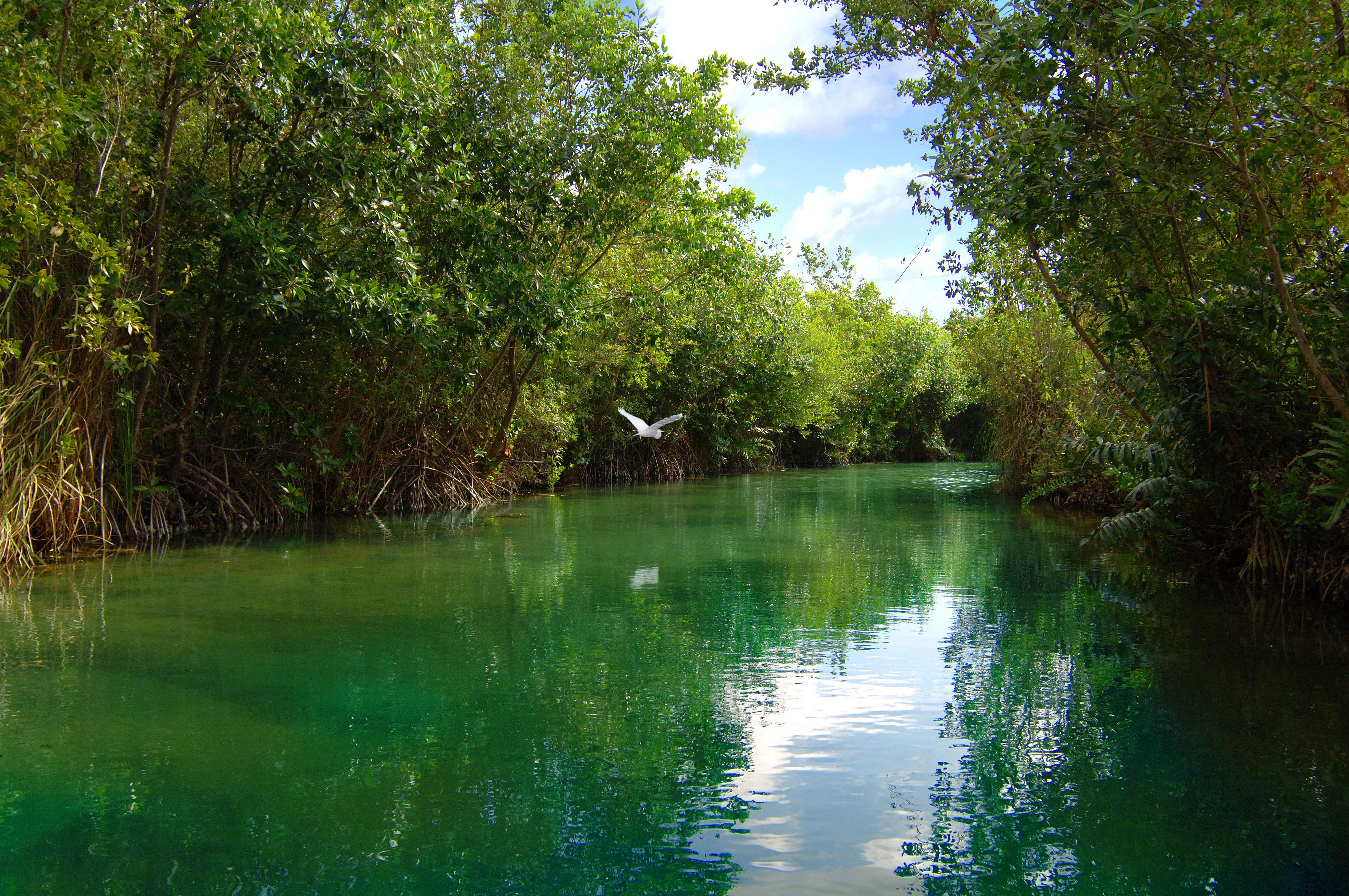 Banyan Tree Mayakoba