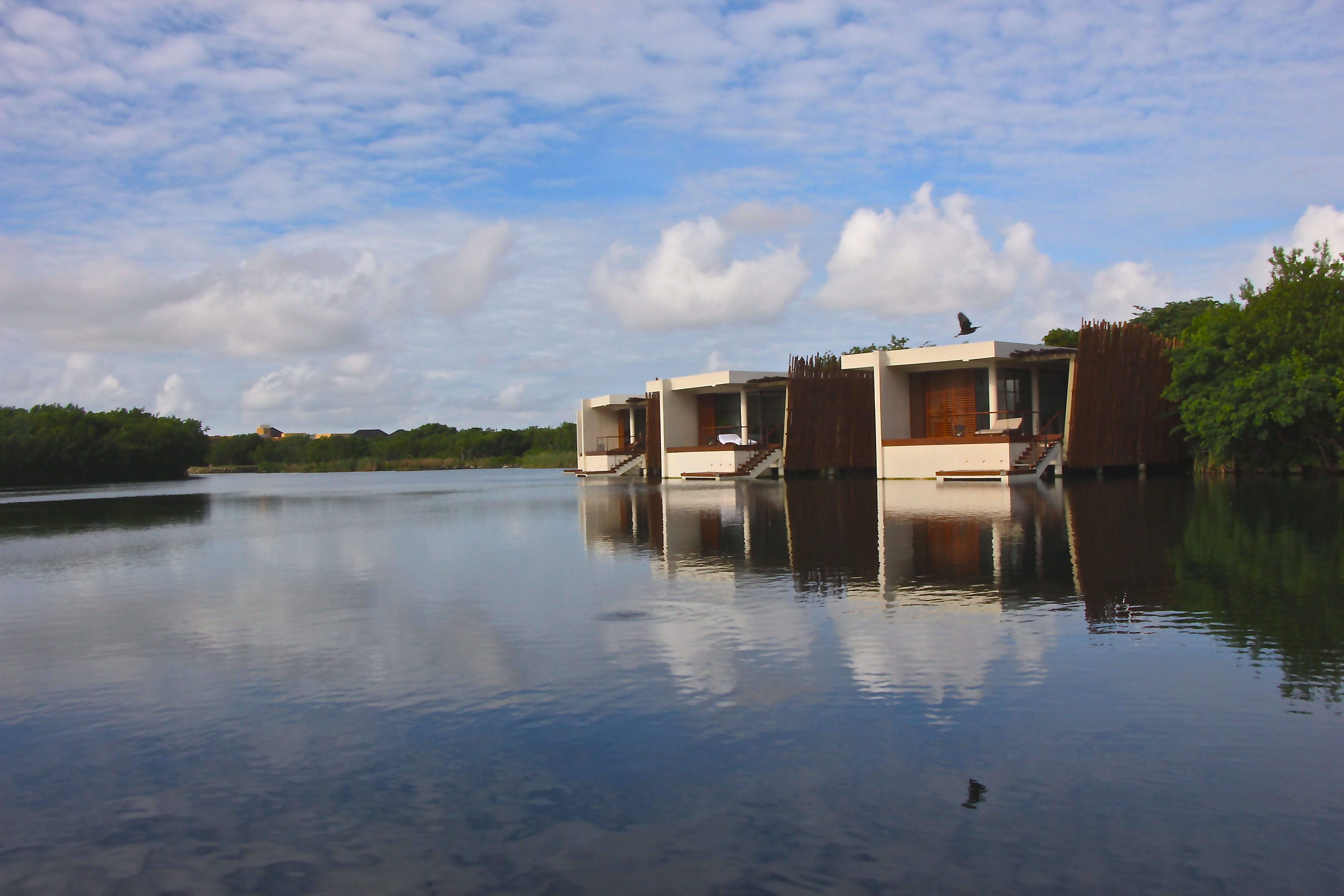 Banyan Tree Wildlife Sanctuary