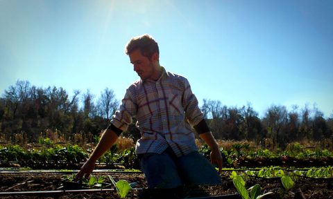 life farm john warren