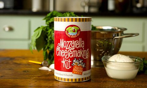Mozarella making kit