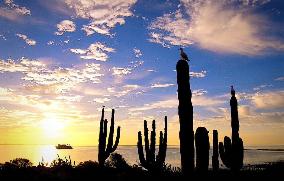 patagonia talks spring inspiration baja