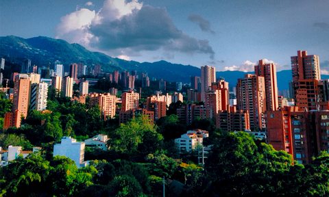 luis fernandez micro guide medellin colombia
