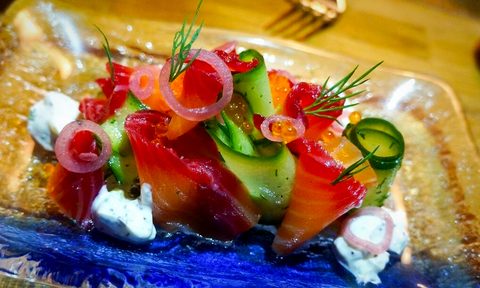 Salmon