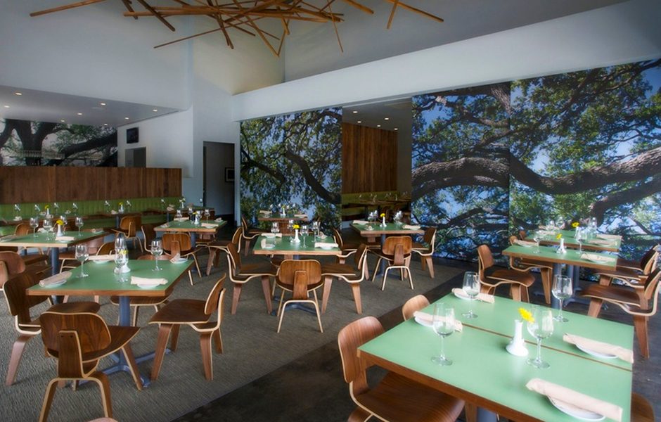 tex mex delicious eateries houston canopy
