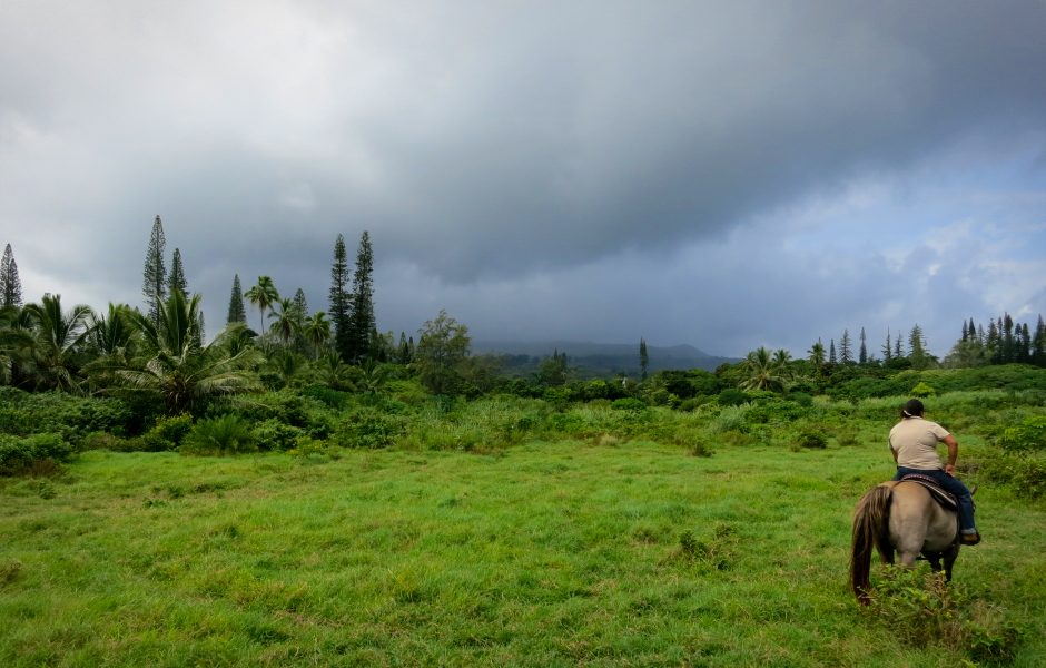 road to hana maui hawaii 5