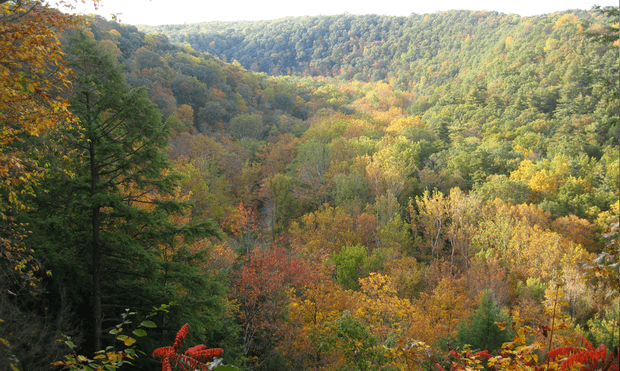 Mohican State Park