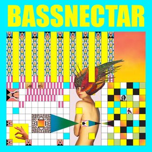 Bassnectar Noise vs Beauty