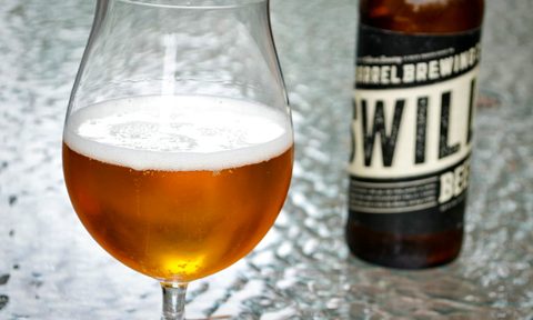 citrus meet sour 10 barrel brewerys swill radler beer