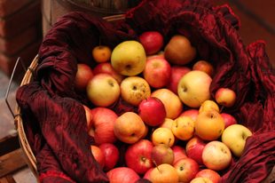 Apples