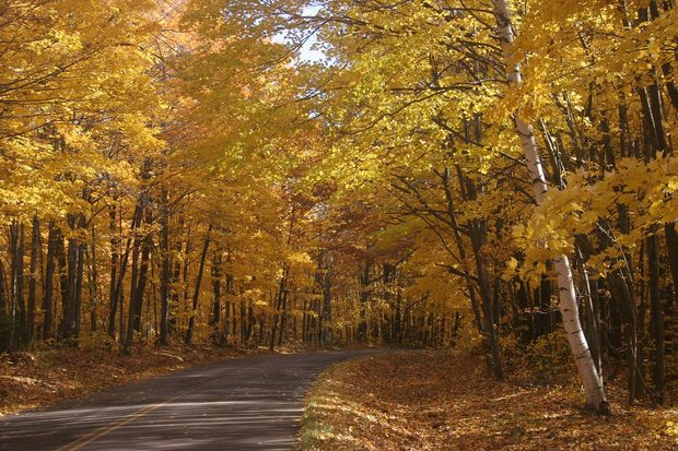 Black River Road Credit Flickr User Joseph O'Brien