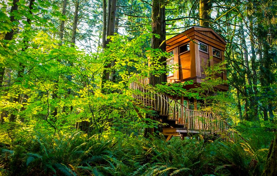 Bonbibi treehouse