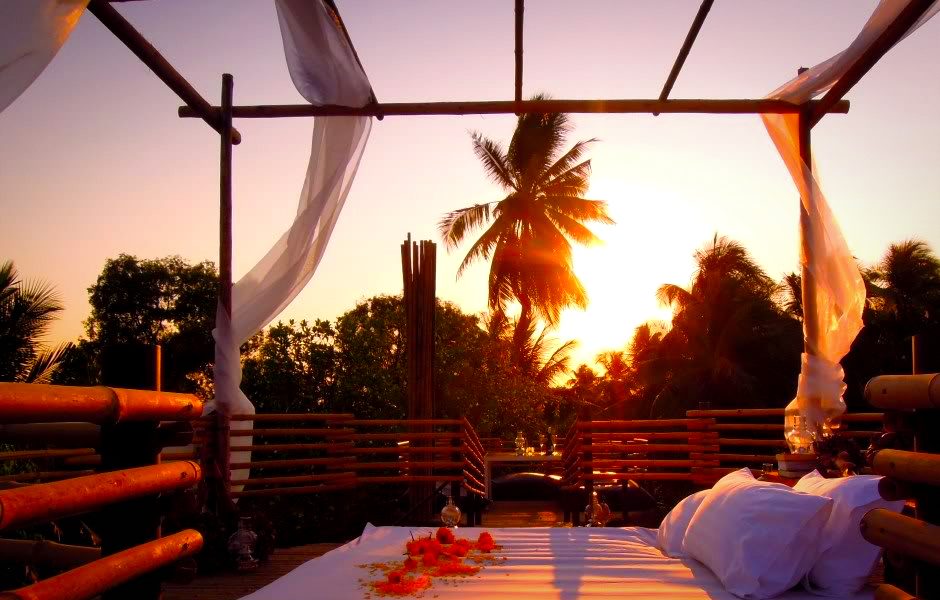 treehouse hotels hotel 1