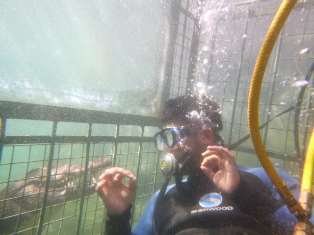 Cage Diving with Crocs, Predator Diving, Victoria Falls, Zimbabwe