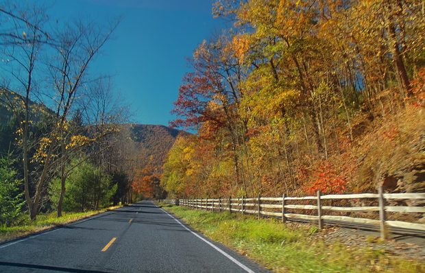 Pine Creek Gorge