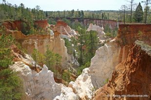 Photo courtesy of <a href="http://www.soils.usda.gov">USDA Natural Resources Conservation Service</a>