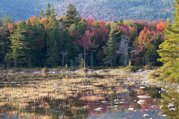 The Knac New Hampshire Credit Flickr User Tony Hisgett