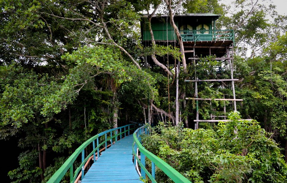 treehouse hotels araiu towers