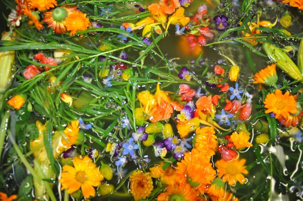 Vermouth Varietals