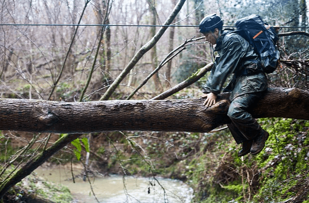 Bear Grylls Survival Academy