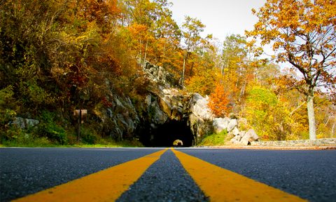 2014 fall foliage drives drive