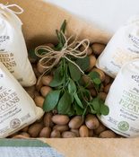 Schermer Pecans