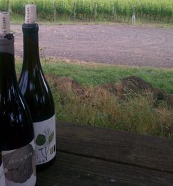Wine-tasting