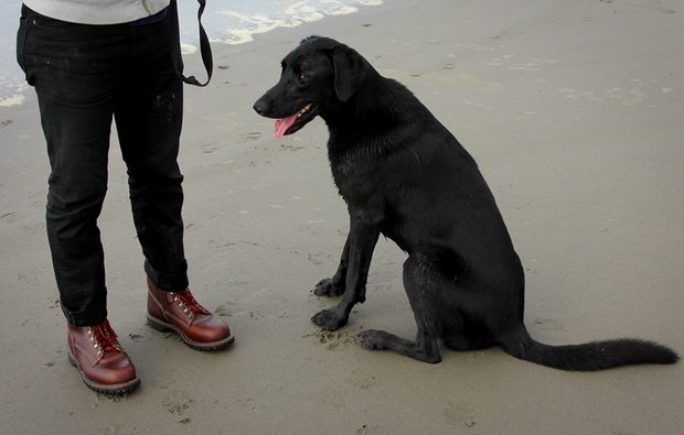 boots and big dogs