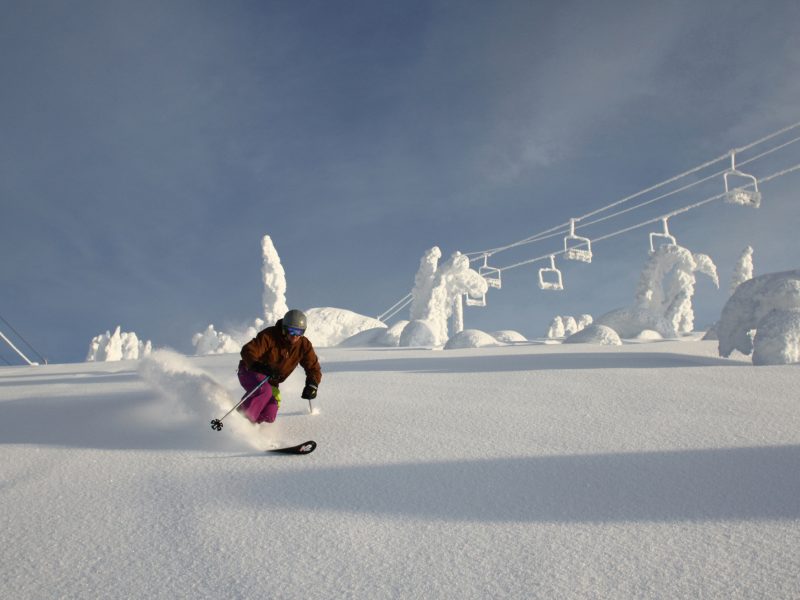 Skiing on pristine powder
