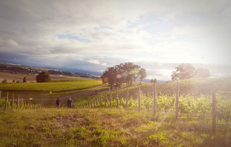 Antica Terra is a cult favorite in the Willamette thanks to its highly rated pinot noir. 