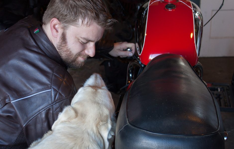 throttle jockey corazzo corso motorcycle jacket cordero gloves dog