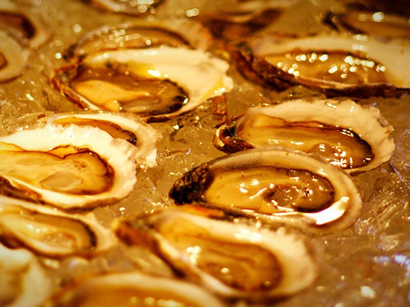 Macs-oysters