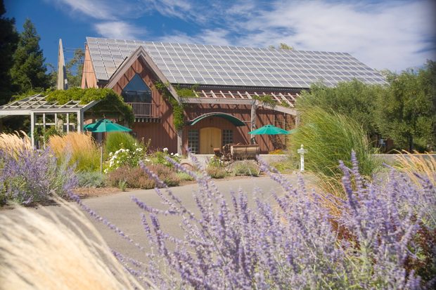 Quivira Winery