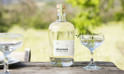 chareau aloe vera liqueur