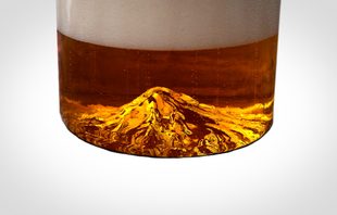 North Drinkware Oregon Pint Glass