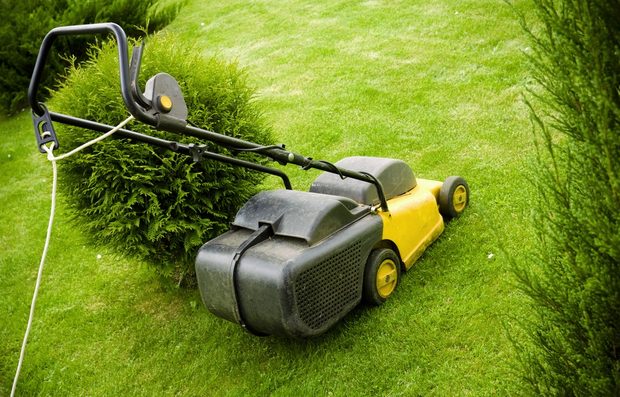 electric mower